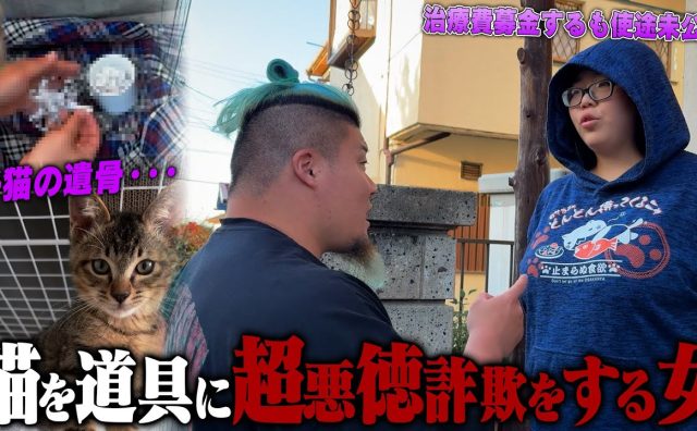 YouTuberハルクくんが“保護猫詐欺”の女を直撃 支援金を集めながら報告なし 治療費の領収書は「なくしちゃった」